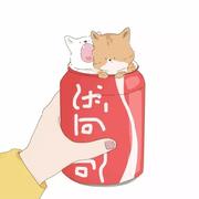 路晓晓的个人资料头像