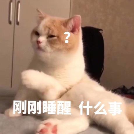 前端劝退师于2019-08-10 14:51发布的图片