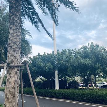 pingan8787于2019-08-10 14:59发布的图片