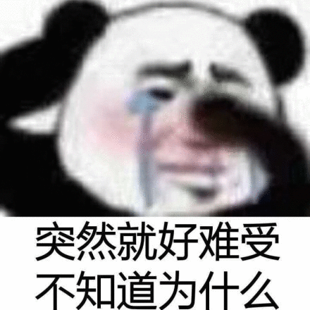 yoyiyi于2019-08-10 18:37发布的图片