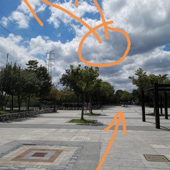 牛马程序员于2019-08-11 13:12发布的图片