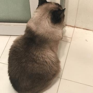 swiftneko于2019-08-12 02:29发布的图片