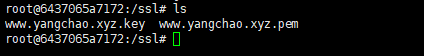 SSL 证书放置
