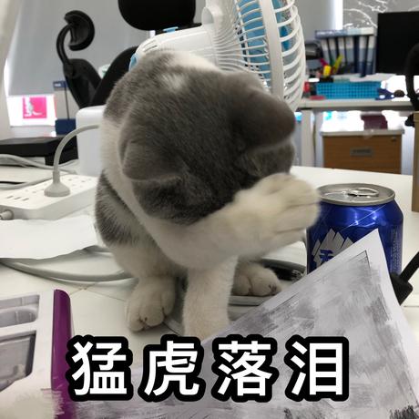 xrk于2019-08-12 10:11发布的图片