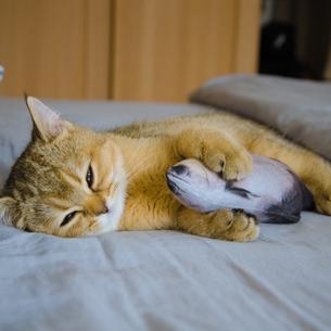 甜饼于2019-08-12 17:38发布的图片