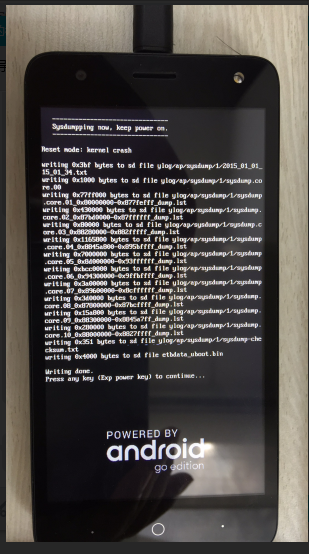 dump log 成功的界面