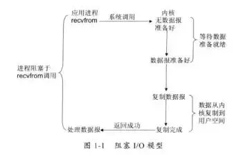 值得收藏的Java IO系统一文详解