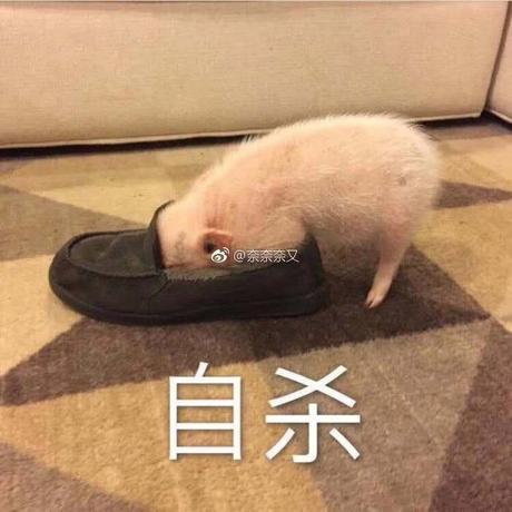 北庄胡美丽于2019-08-13 09:30发布的图片