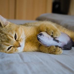 甜饼于2019-08-13 11:06发布的图片