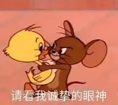 PPT制作不好看？这里有海量的资源和渠道可以自由学PPT，统统拿走