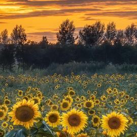 PandaX在掘金于2019-08-14 10:16发布的图片