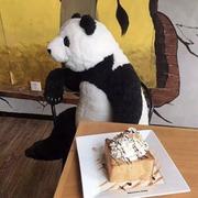 今天吃香菜的个人资料头像