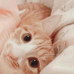 KeepOptimistic于2019-08-14 13:04发布的图片