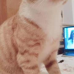 KeepOptimistic于2019-08-14 13:04发布的图片