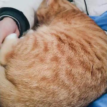 KeepOptimistic于2019-08-14 13:04发布的图片