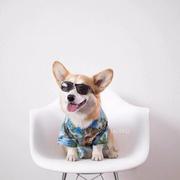 大西洋上的摩天轮的个人资料头像