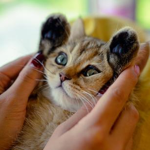 甜饼于2019-08-15 10:29发布的图片