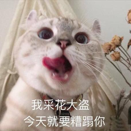 Thanos星云于2019-08-15 11:18发布的图片