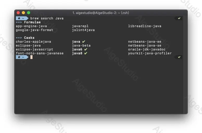 brew 显示已安装的 JDK 版本 —— From AigeStudio