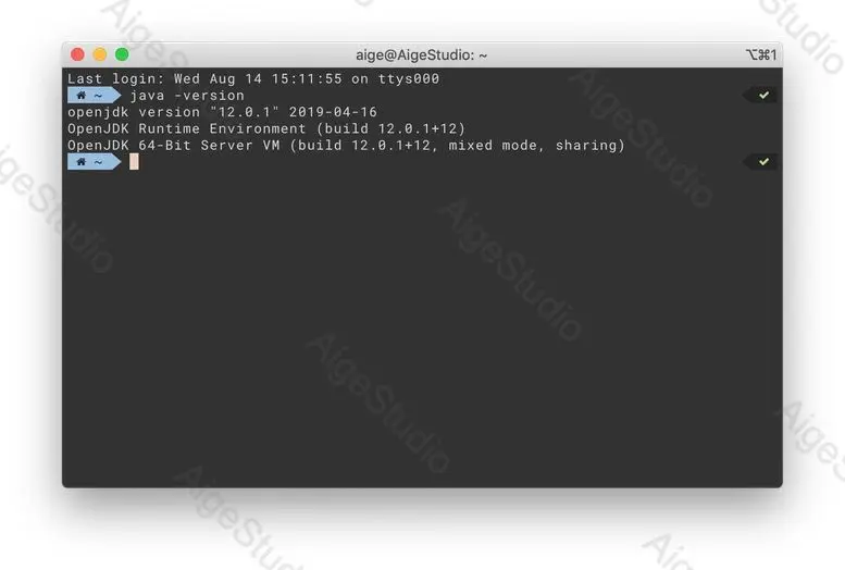 本机安装的 Open JDK 12 —— From AigeStudio