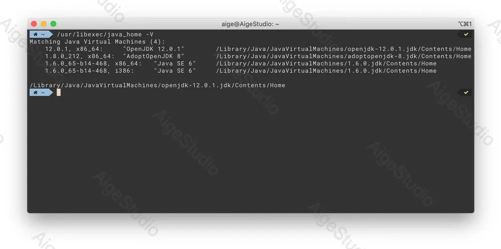 本机显示已安装的 JDK 版本 —— From AigeStudio
