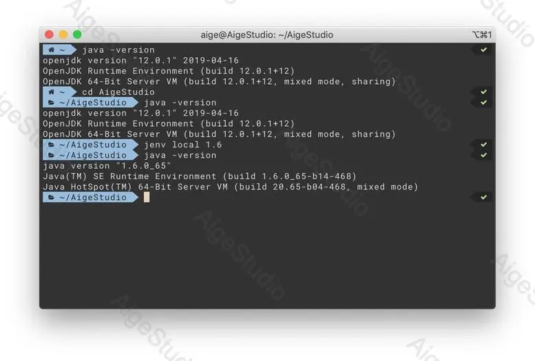 JEnv 参数命令 local 的使用 —— From AigeStudio