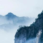 windeaker的个人资料头像