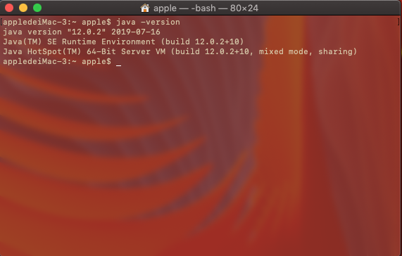 java -version