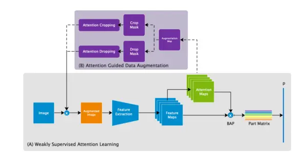 (a) Training process.