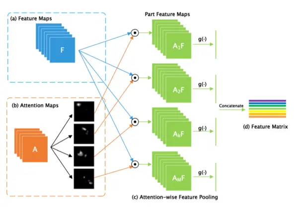 Bilinear Attention Pooling