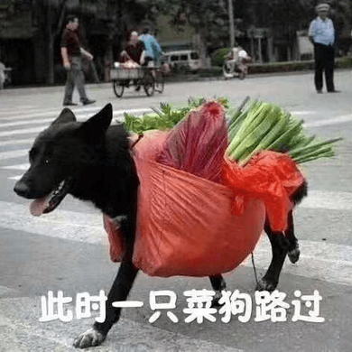 已注销于2019-08-16 16:03发布的图片