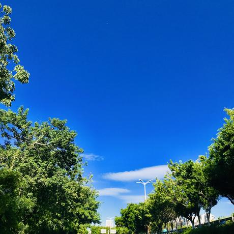 Rockbean于2019-08-16 19:10发布的图片