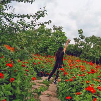 薛定谔的馒头于2019-08-16 22:19发布的图片