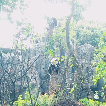 薛定谔的馒头于2019-08-17 08:11发布的图片