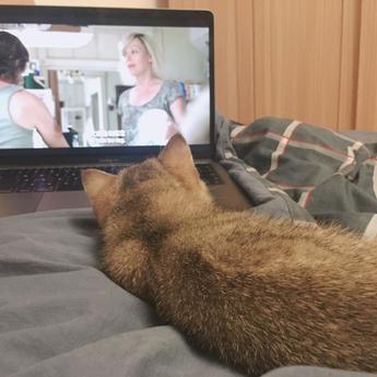 甜饼于2019-08-17 18:16发布的图片