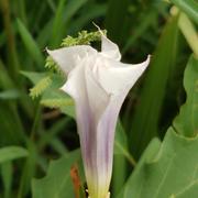 嘎嘎乐乐的个人资料头像