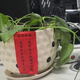 那個男人于2019-08-18 00:46发布的图片