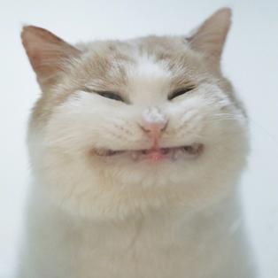 薛定谔的馒头于2019-08-18 10:38发布的图片