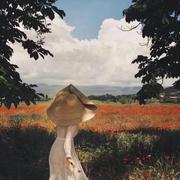 一枚前端小白的个人资料头像