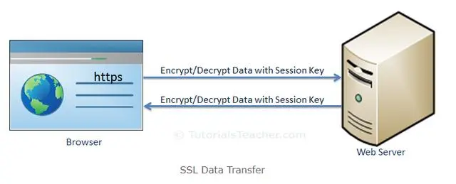 https理论及实践