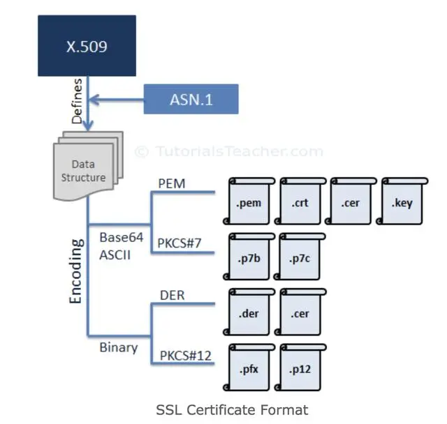 https理论及实践