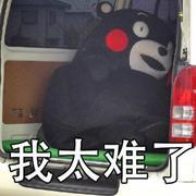 vf2e的个人资料头像