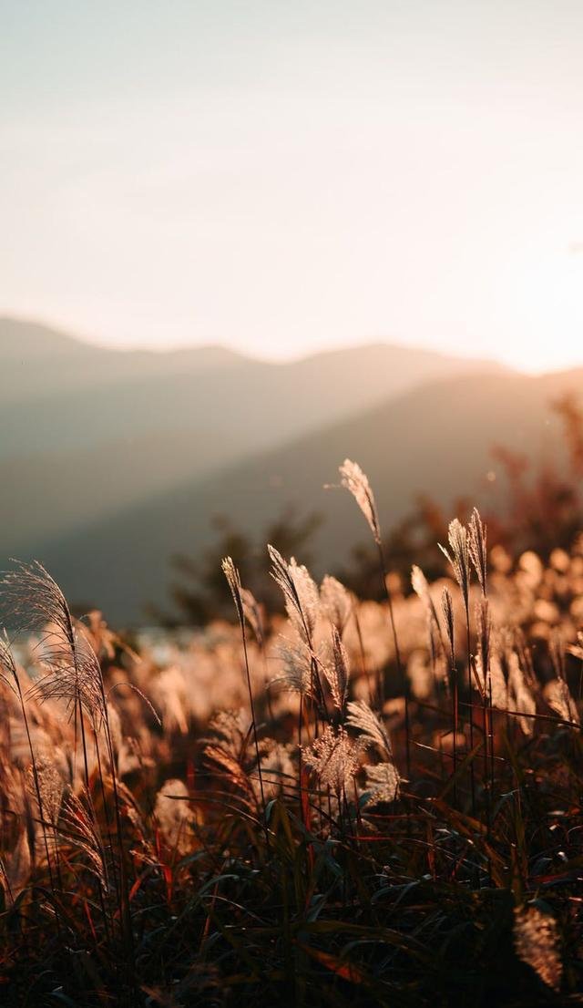 「4K高清壁纸系列」1080P超清壁纸，用最自然的颜色熬最黑的夜