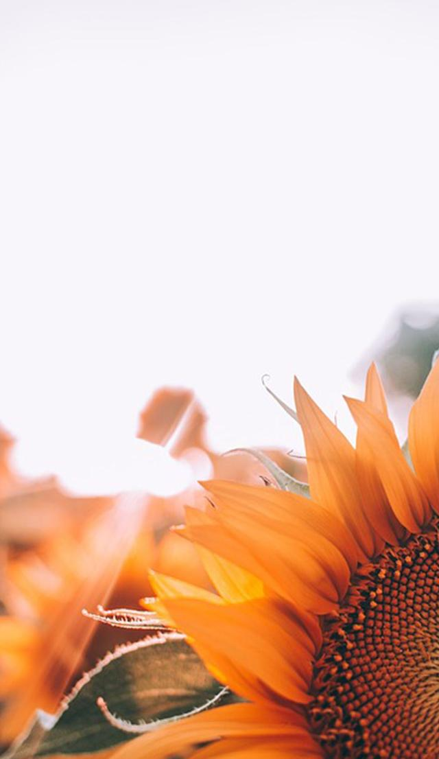 「4K高清壁纸系列」1080P超清壁纸，用最自然的颜色熬最黑的夜