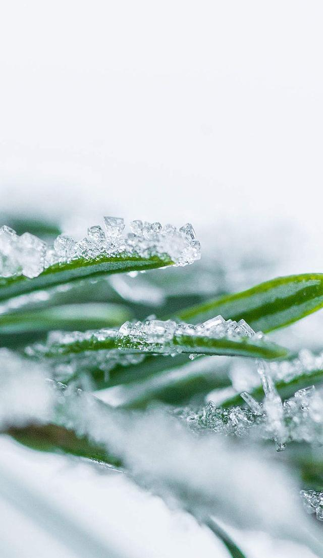 「4K高清壁纸系列」1080P超清壁纸，用最自然的颜色熬最黑的夜