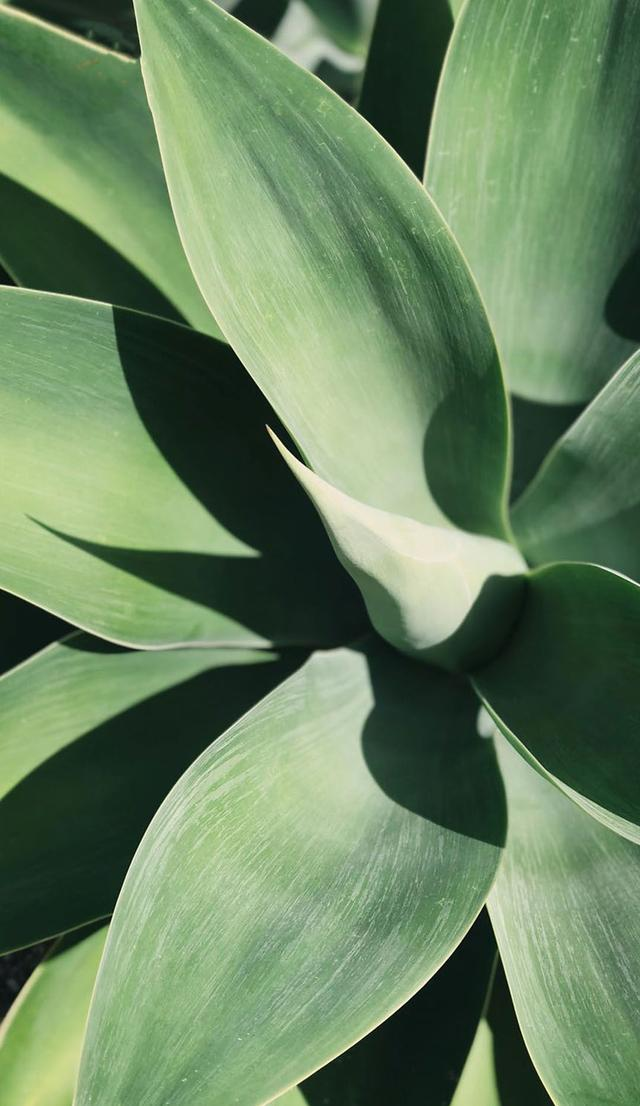 「4K高清壁纸系列」1080P超清壁纸，用最自然的颜色熬最黑的夜