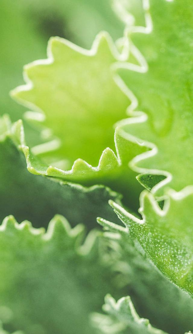 「4K高清壁纸系列」1080P超清壁纸，用最自然的颜色熬最黑的夜