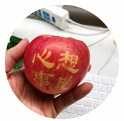 WQiOSer的个人资料头像