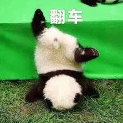 【RabbitMQ】如何进行消息可靠投递【上篇】
