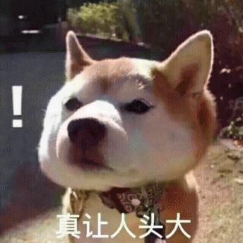 bg_king于2019-08-02 12:28发布的图片